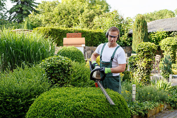 Lawn Watering Services in Ovilla, TX